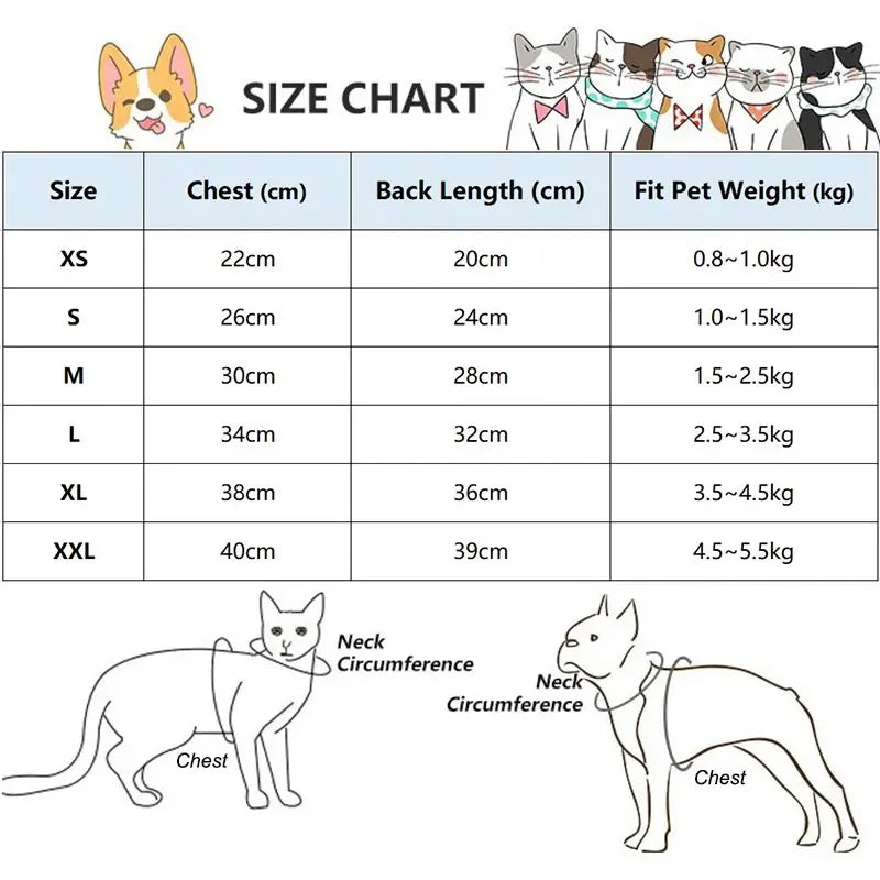 Luxury Cat Outfits Sphynx Clothing for Cats Gotas Fashion Pet Hoodie Clothes Sphinx Kit Sphinx Kitten Pullover Devon Rex Costume
