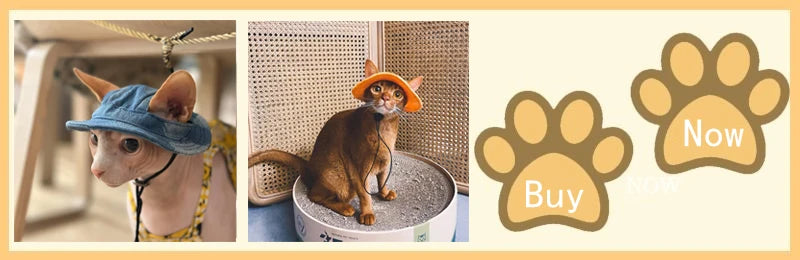2021 Luxury Sphynx Cat Clothes Summer Dog Fancy Dress For Hairless Cats Clothing Small French Bulldog Puppy Costume Kittens Vest