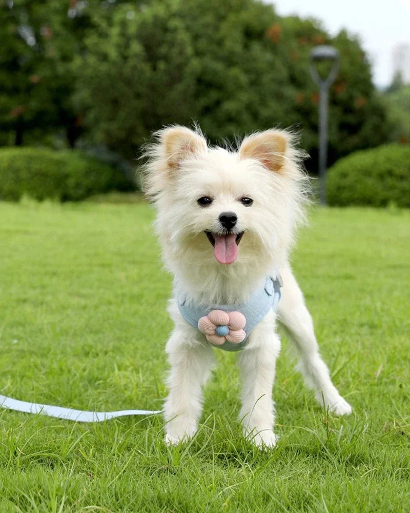 Pet vest traction rope dog cartoon three-dimensional accessories Teddy walking dog rope cat going out chest and back protection