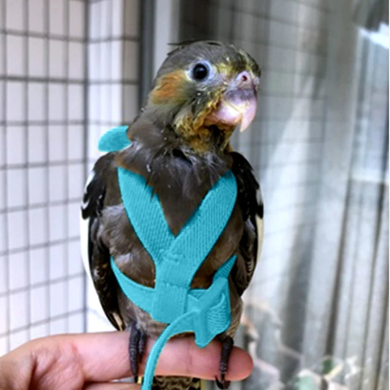 Adjustable Parrot Bird Harness Leash Set Anti-bite Training Harness Parrots Outdoor Flying Rope Cockatiel Small Birds Supplies