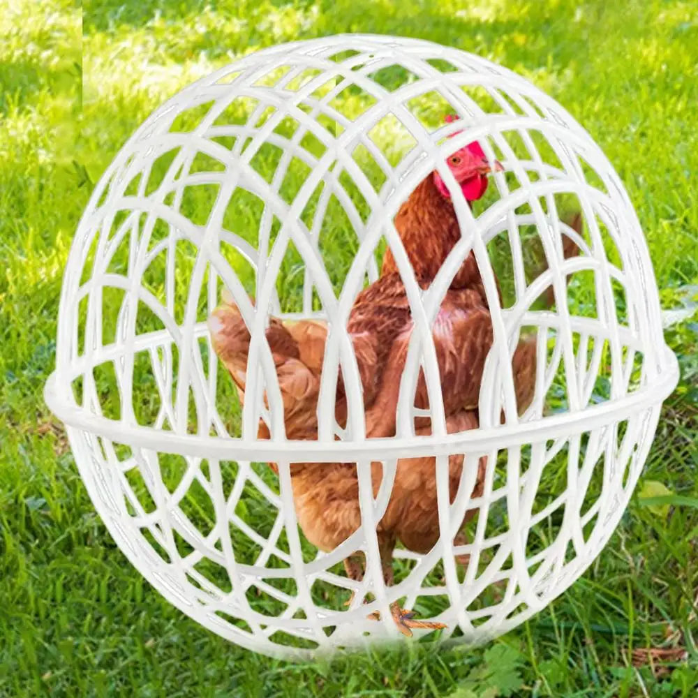 Chicken Balls Cage For Outside Spherical 3 Pieces Chicken Cage Pet Safety Cage Ball-Shaped Chicken Hamster Ball Cage Safe