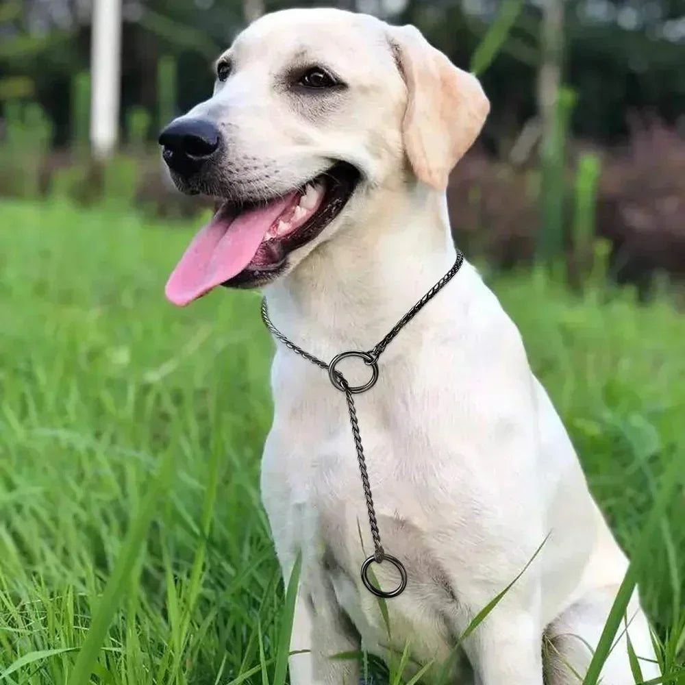 Dog Snake Chain Choke Collar P Chock Metal Chain Dog Collar Necklace Walking Training Pet Supplies for Small Medium Large Dogs