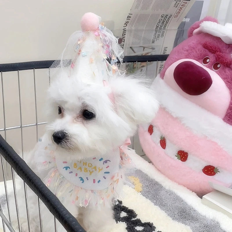 Pet Cat Dog Birthday Party Lace Suit Hat Scarf Dog Bib Saliva Towel Mesh Series Bear Birthday Jewelry Dress Up Accessories