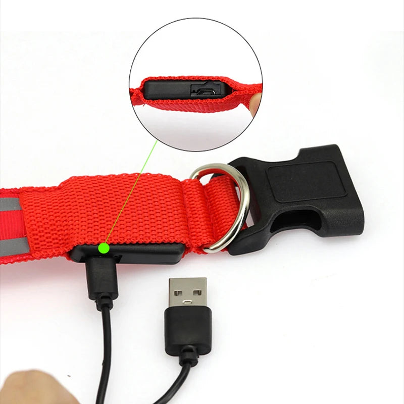 Reflective Dog Collar Luminous Night Safety Usb Rechargeable LED Dog Collar Light For Small Dogs Cat Pet Collar Para Perro XS-XL