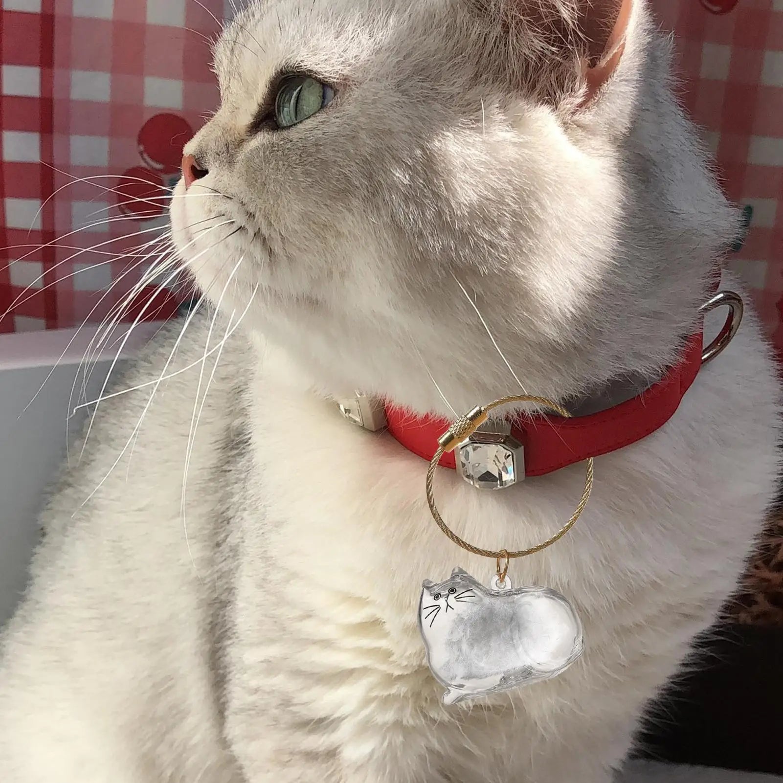 2025 Kawaii Transparent Cat Keychain Hair Storage Bottle Capsule Toys Pet Fur Keepsake Collection Box Cute Birthday Souvenir