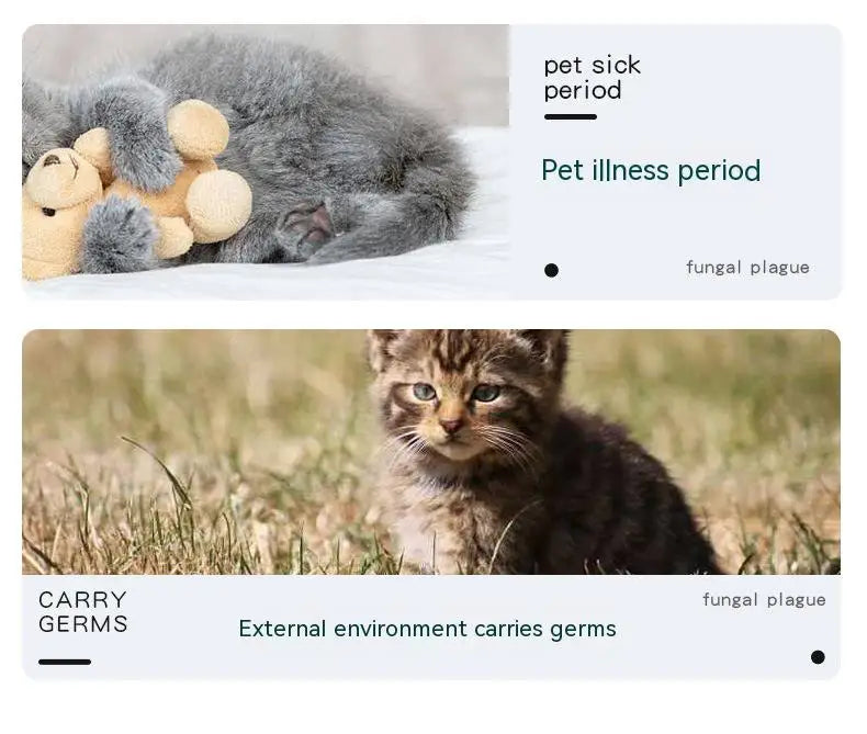 50G Pet Cats and Dogs Environmental Disinfection Powder Deodorizing Fine Distemper Cat Distemper Disinfectant Sterilization