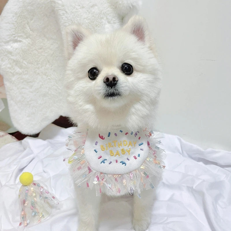 Pet Cat Dog Birthday Party Lace Suit Hat Scarf Dog Bib Saliva Towel Mesh Series Bear Birthday Jewelry Dress Up Accessories