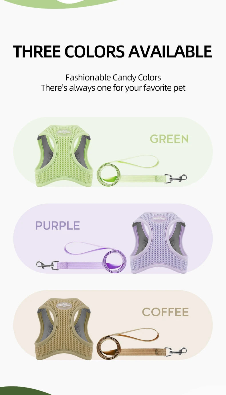 Puppy Cat Harness with Leash Breathable Waffle Pet Vest Clothes for Small Mid Dogs Cats Harness Collar Yorkshire Dog Accessories