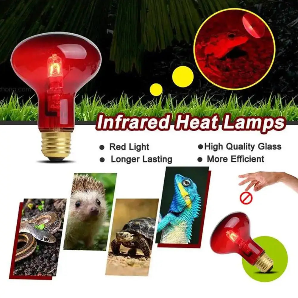 Amphibian Reptile Heating Lamp E27 Poultry Heating Bulb Pet Turtle Terrarium Snake Bulb Light 25W-100W 220-240V