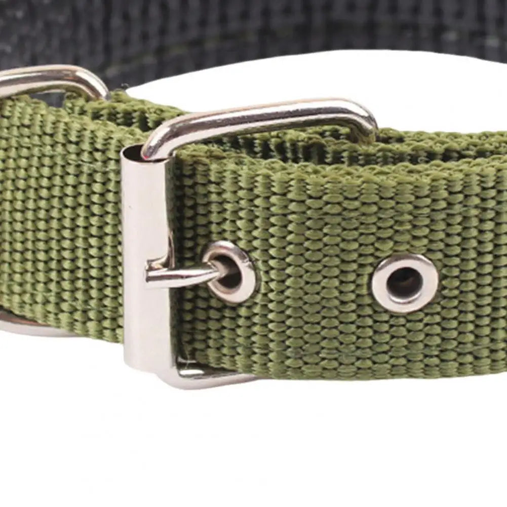 Dog Collars，Nylon，Adjustable Dog Neck Circle，Long-lasting Pet Neck Strap，with Traction Ring，Teddy Keji Pitbull，Pet Supplies