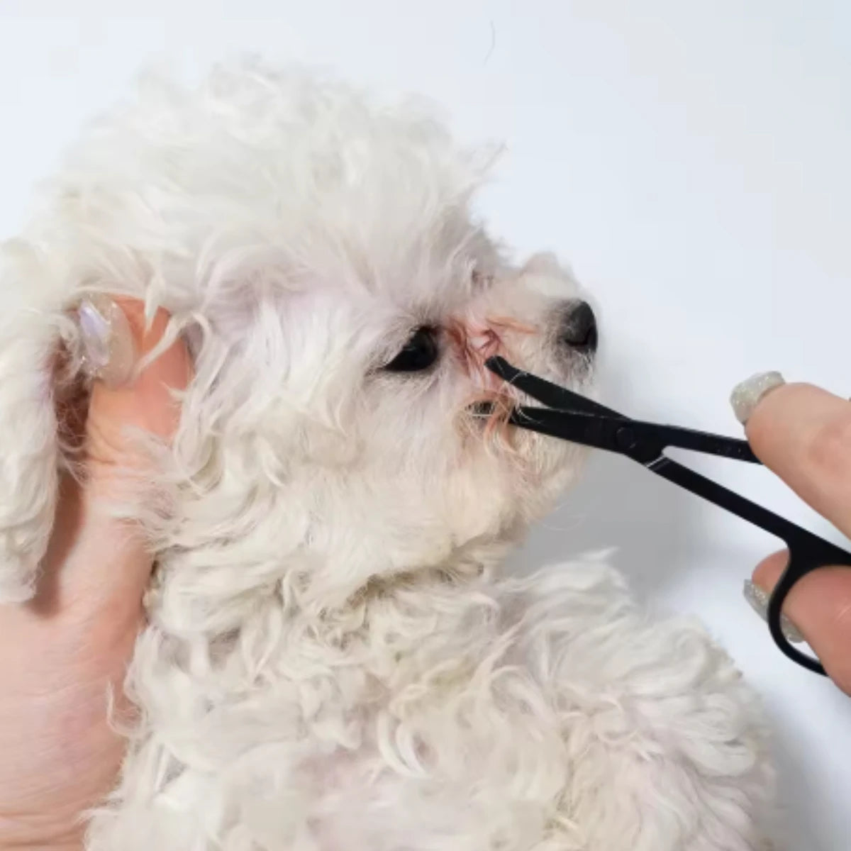 Pet Woodiness Facial Cleaning Comb Removes Tear Stains Eye-poop Comb Dog Hair Repair Scissors Cat Hair Comb Pet Clean Supplies