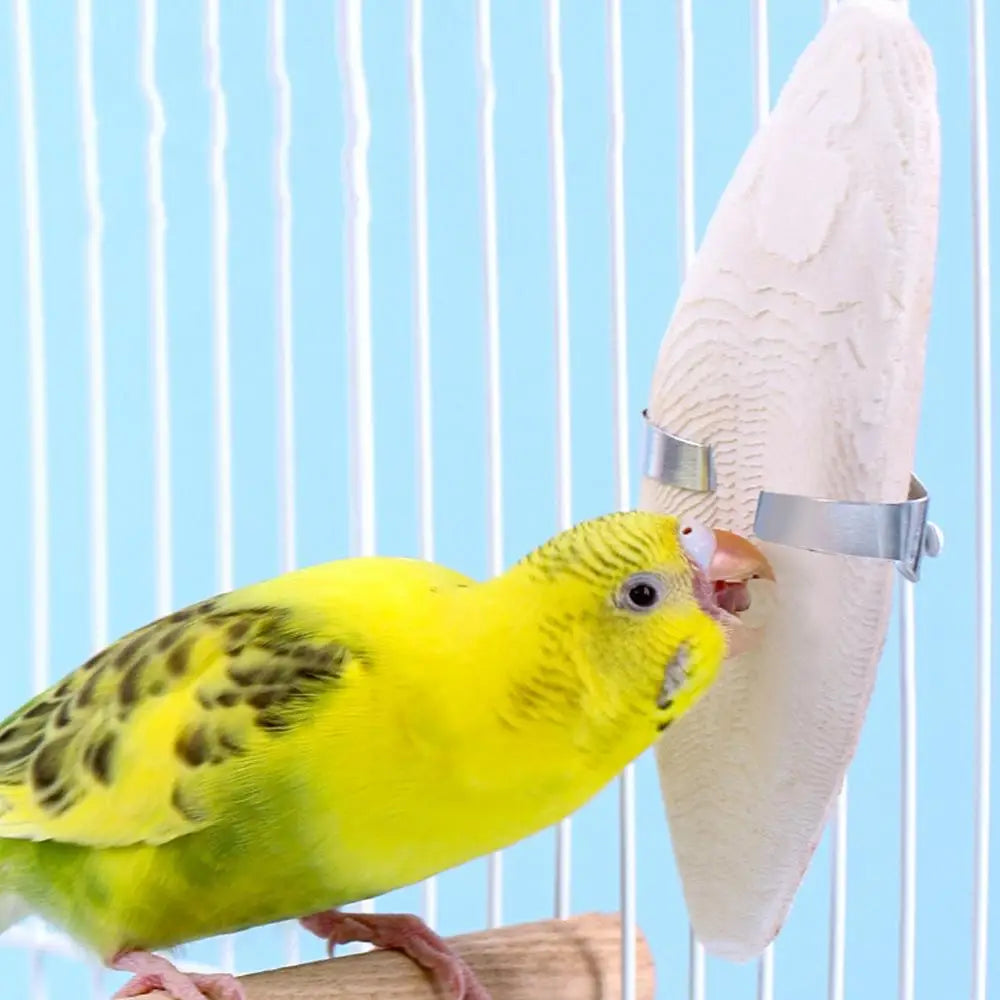 Bird Cuttle Bone Pet Grinding Cuttlefish Bone Natural Cuddle Bone Parrot Chew Toys Chewing Cuttlefish Bone Bird Cuttlebone
