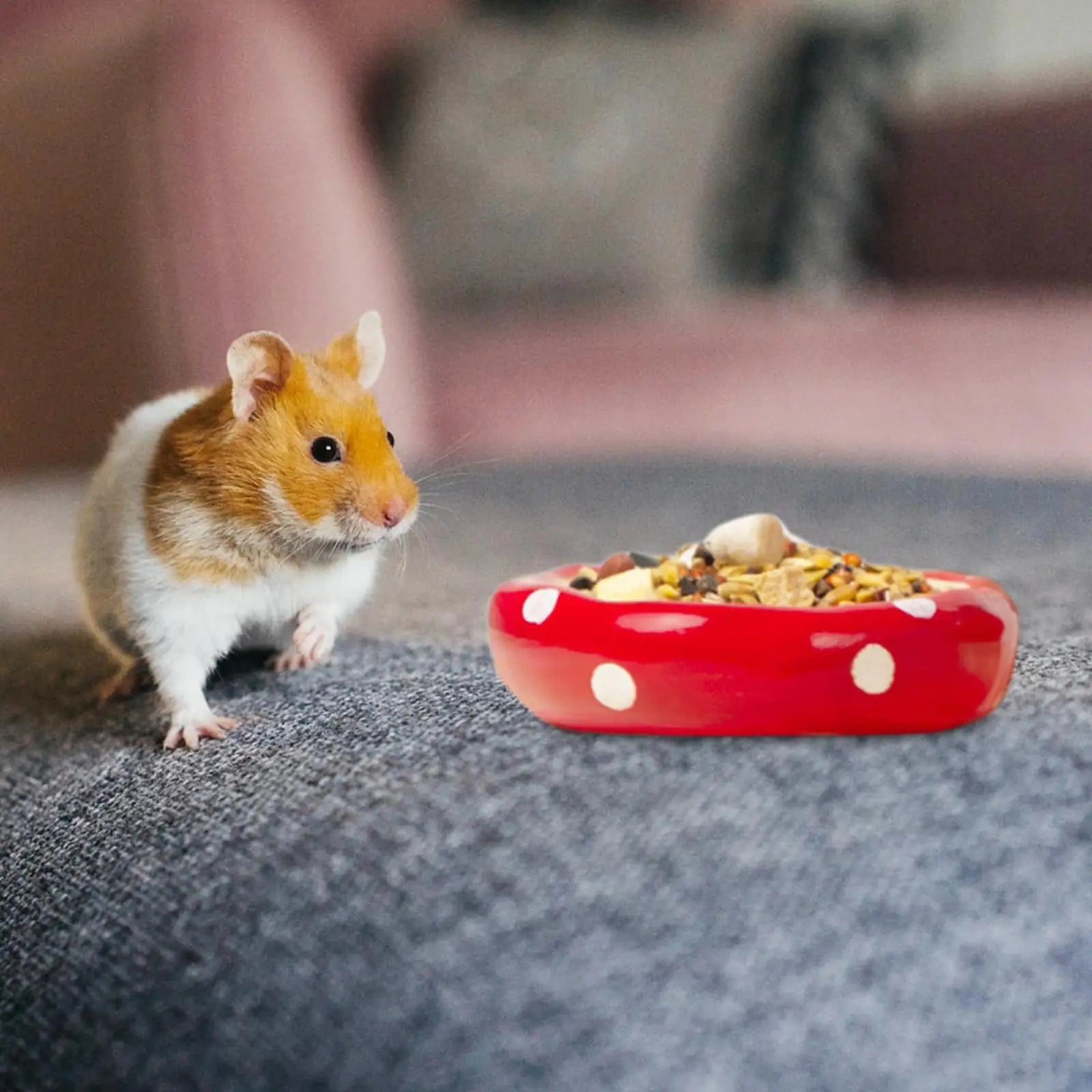 Ceramic Hamster House for Small Animals Outdoor Mushroom Cave Small Animal Food for Home Hamster Keeping Gigts