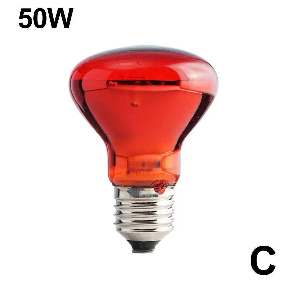 Amphibian Reptile Heating Lamp E27 Poultry Heating Bulb Pet Turtle Terrarium Snake Bulb Light 25W-100W 220-240V