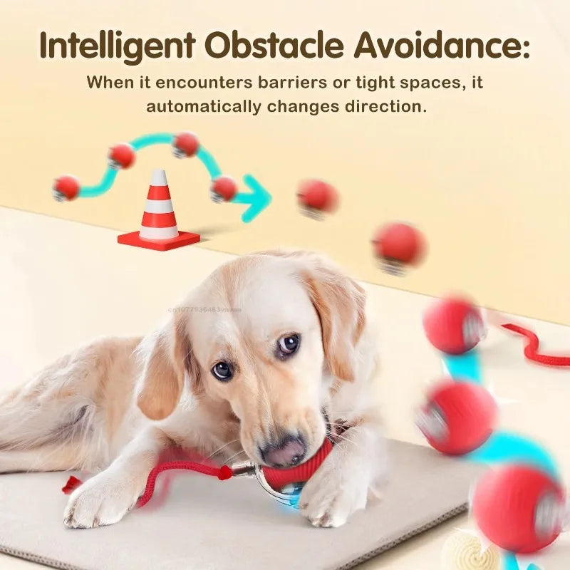 Cat Toys for Kitten Cats Ball Toys Pet Product Cat's Accessories for Home Automatic Electronic Indoor Interactive Cat Pet Toy
