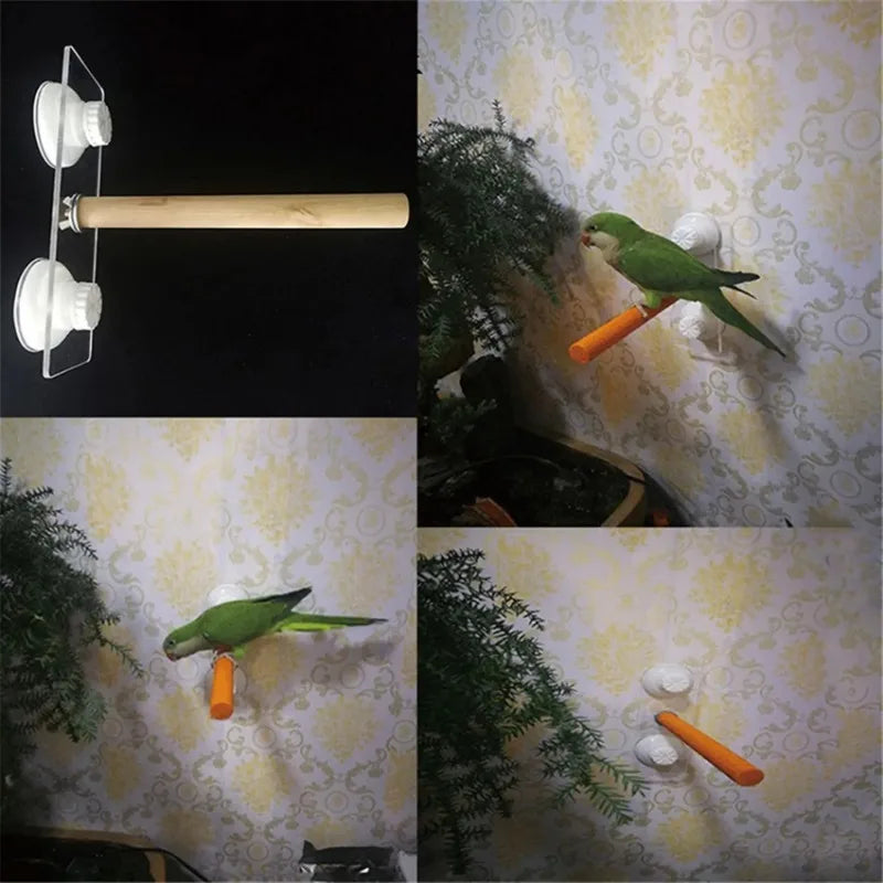 Standing Stick Wood Color Toy Sticksstand 1 X Bird Claw Grinding Bar Bird Accessories