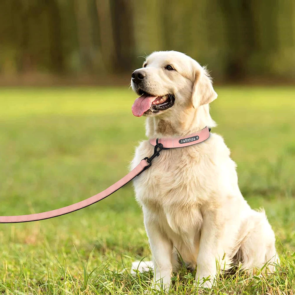 Custom Leather Dog Collar Leash Personalized Pet Collars and Leash Set Durable Leather Collar Lead for Small Medium Large Dogs