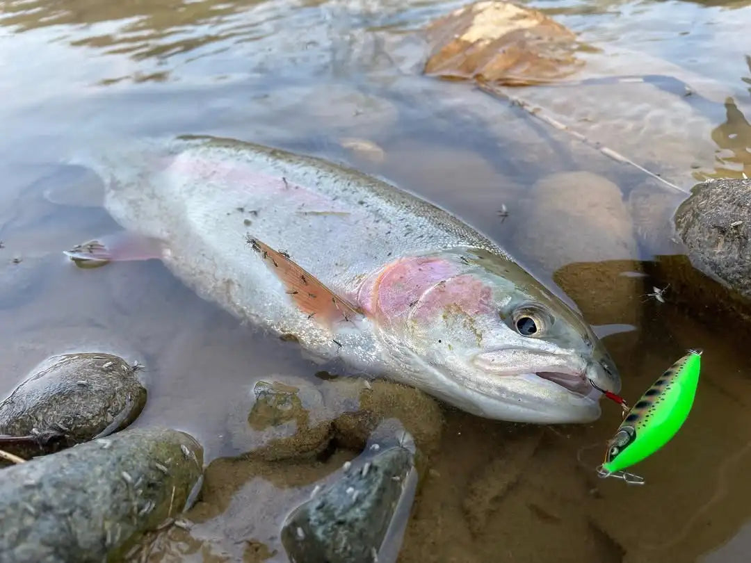 Sinking Minnow Fishing Lure 70mm 10g Artificial Trout Lure Stream Lake Jerkbait Rockfishing Hard Baits Countdown Elite CDE75
