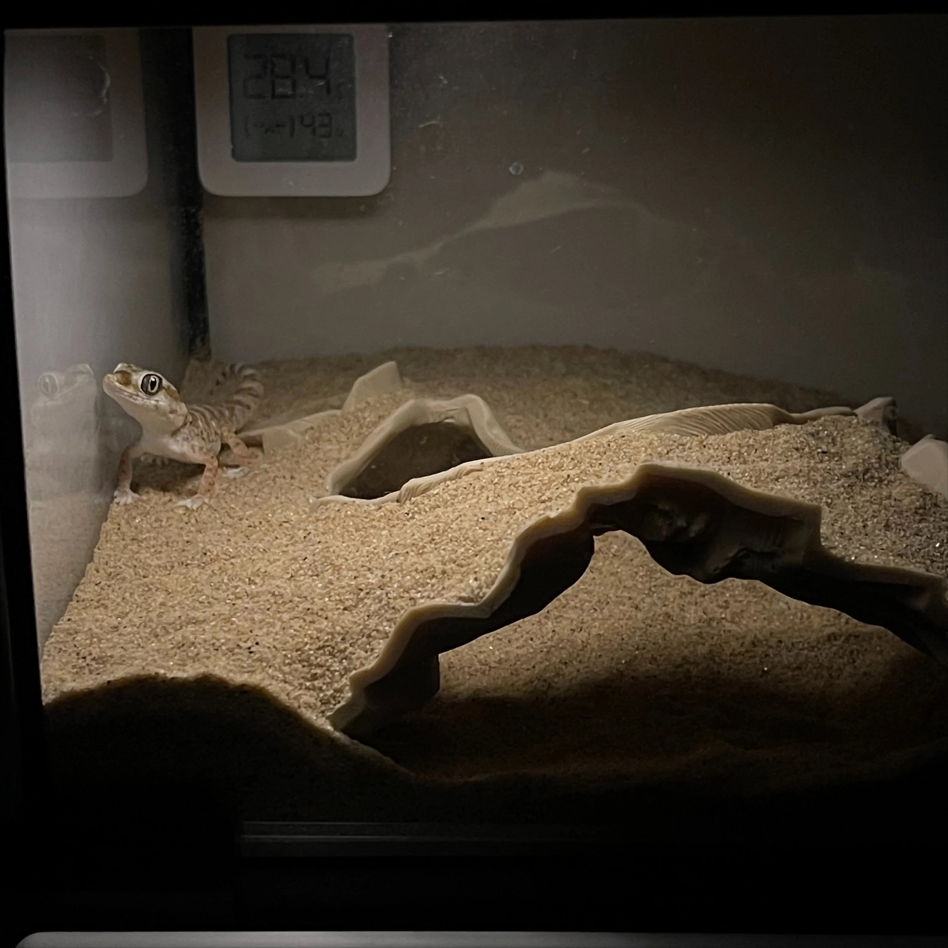 3D Printed Fish Tank Underground Cave Shelter Hideout for Fish Shrimp Reptile,Landscaping Ornaments Aqaurium Decorations