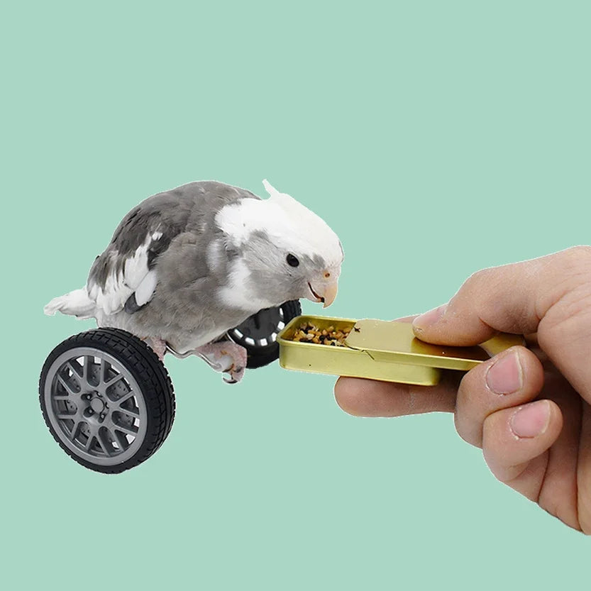 Parrot Balance Birds Intelligence Training Interactive Toy Mini Bicycle Wheels Roller for Small Medium Birds Pet Supplies Toys