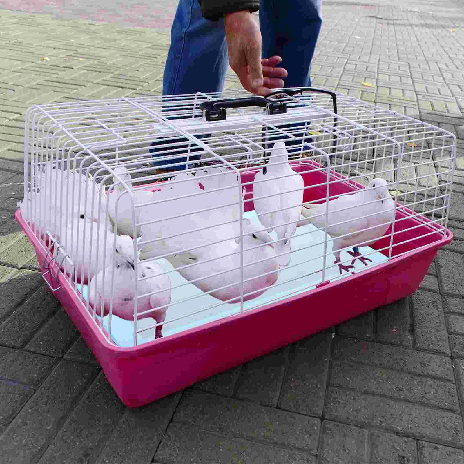 10 Pcs/1 Bird Cage Essentials Water-absorbing Pad Paper Pet Parrot Chassis Floor Cleaning Supplies