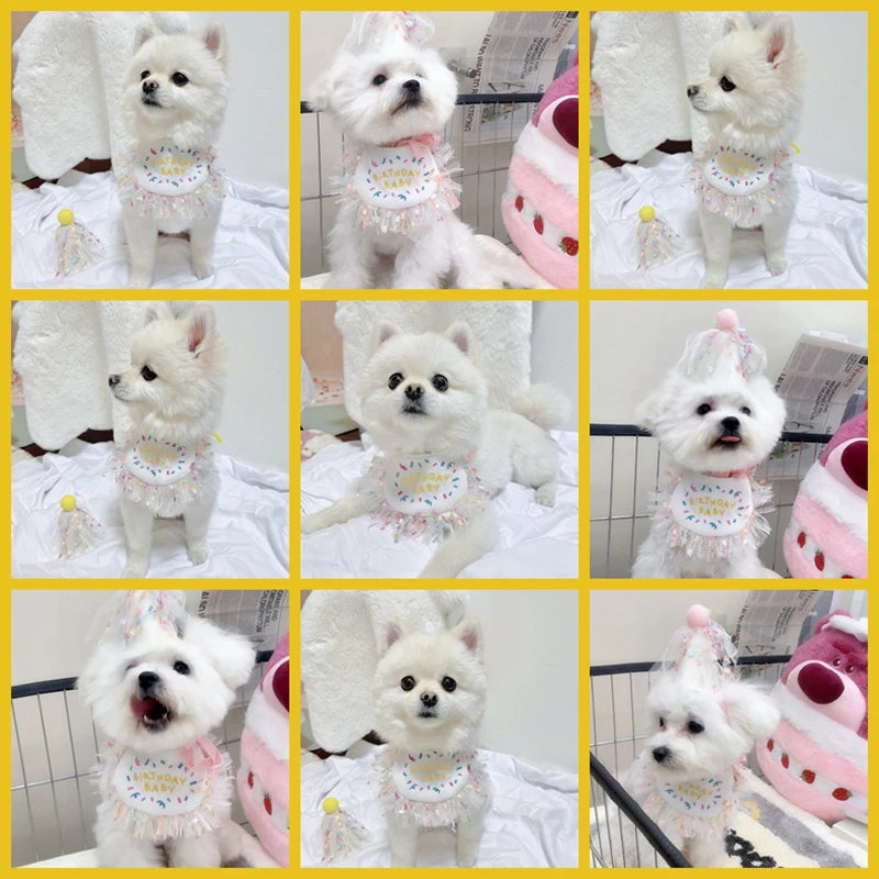 Pet Cat Dog Birthday Party Lace Suit Hat Scarf Dog Bib Saliva Towel Mesh Series Bear Birthday Jewelry Dress Up Accessories
