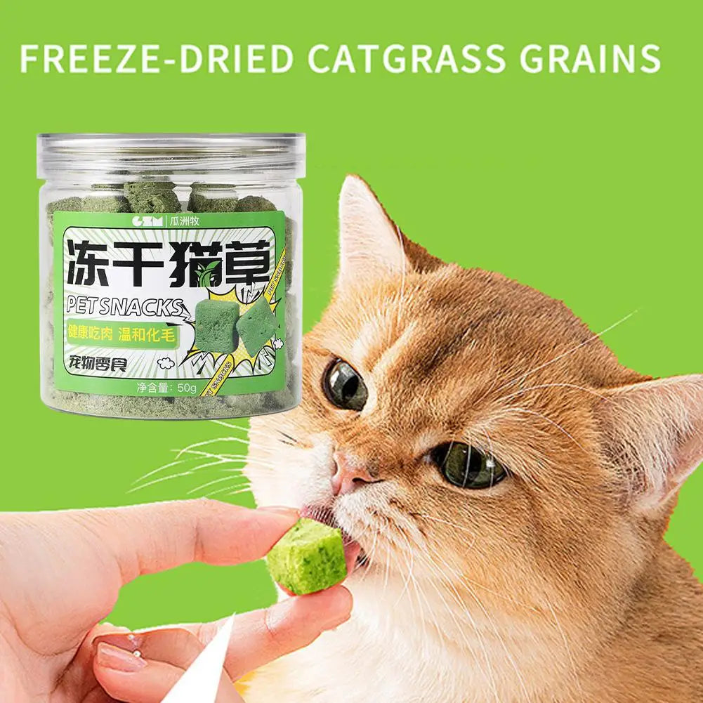 Catgrass Grain Freezedried Cat Snack Row Furry Hairball Catgrass Biscuits Teeth Tablets Grinding Catgrass Pieces X3S7