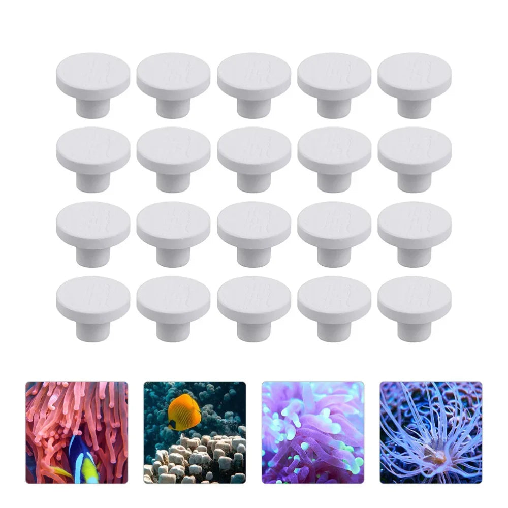 SPS Coral Frag Plug Tray Seawate Planting Base Ceramic Fish Tank Marine Reef Aquarium Spare Parts Plug Plate