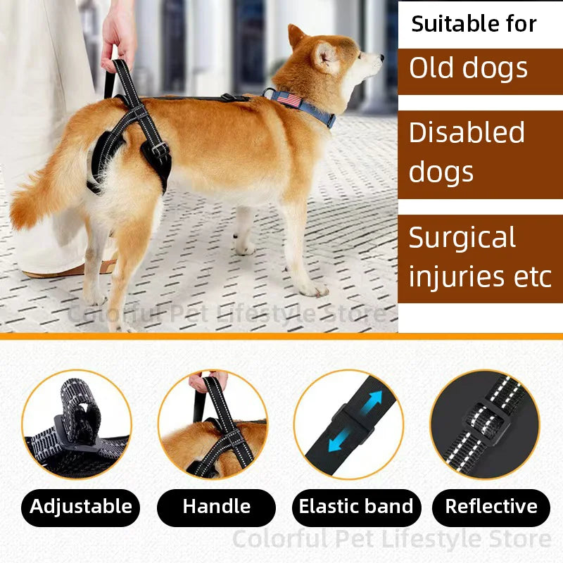 Adjustable Dog Lift Harness for Dogs Soft Pet Rear Leg Support for Old Disabled Joint Injuries Dog Back Leg Hold Dog walking aid