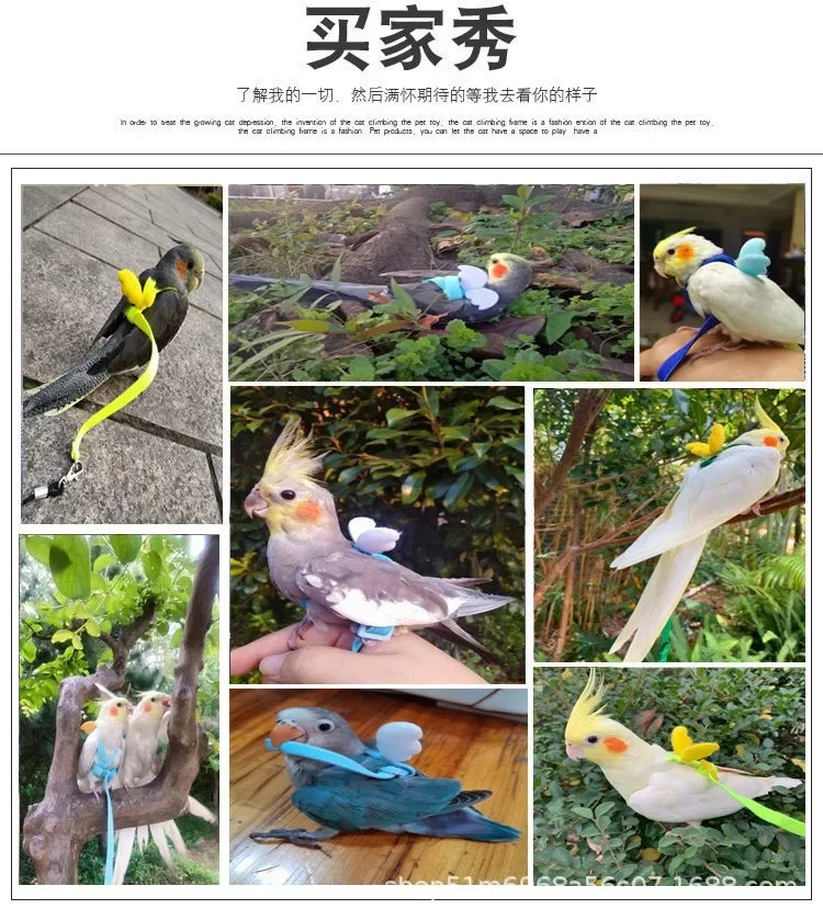 Adjustable Parrot Bird Harness Leash Set Anti-bite Training Harness Parrots Outdoor Flying Rope Cockatiel Small Birds Supplies