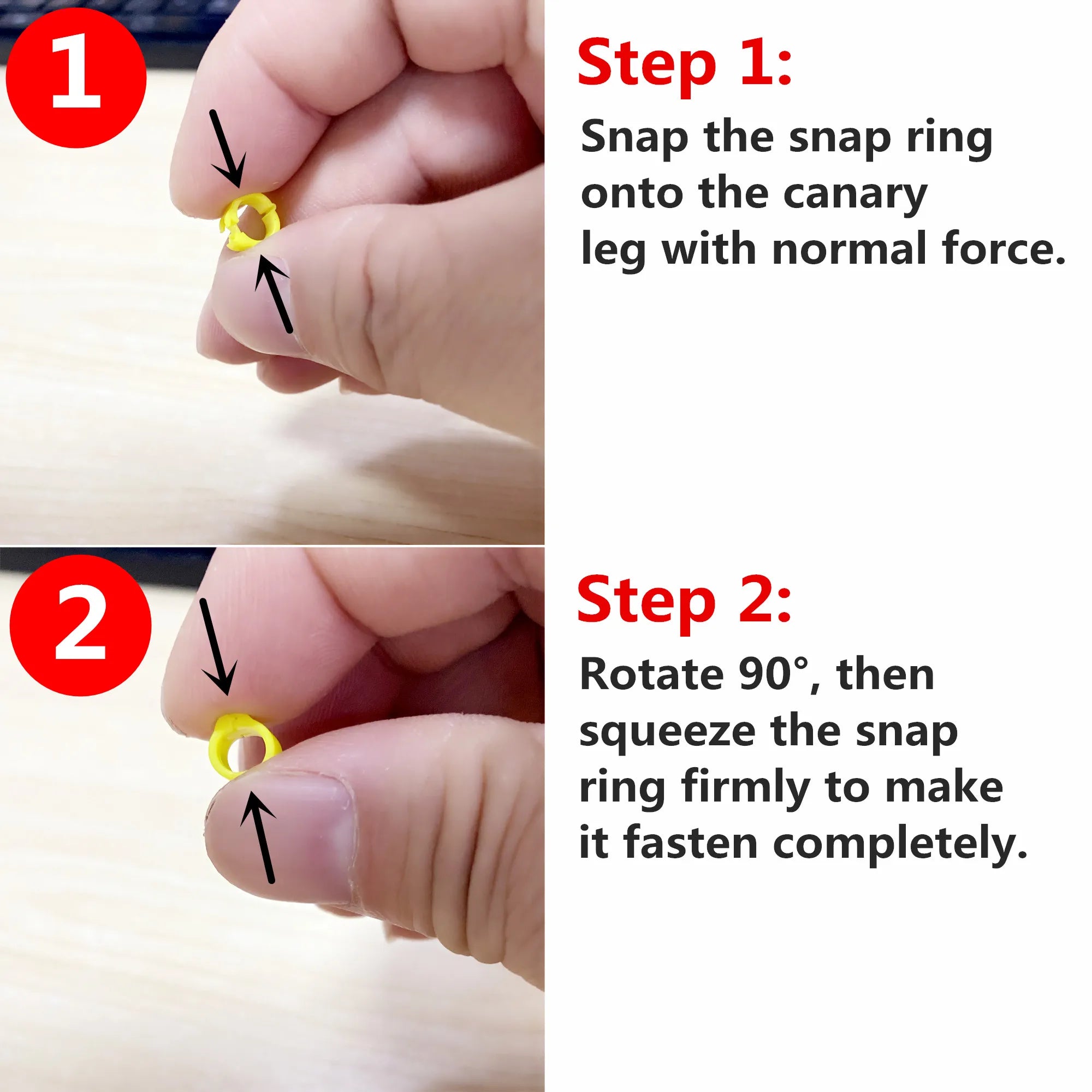 Bird carrying tool Inner 2.7/ 3/4/4.5/5mm Canary Clip Ring Bird Pigeon Small Parrot Leg Rings Birds Foot Rings Bird Clip Ring