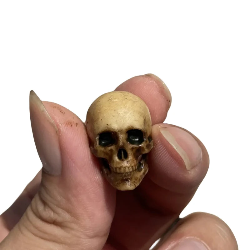 1/12 Scale Human Beings Skeleton PVC Model for 6in 7in Action Figure Accessory Scene Collection Feeding Box Fish Tank Decoration