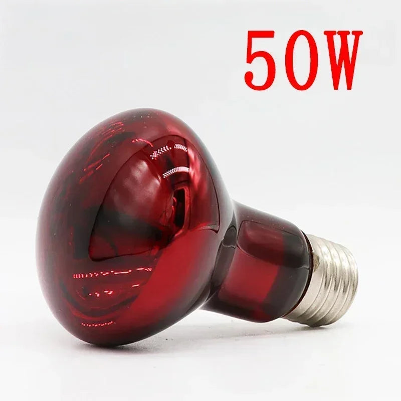 220-240V E27 Poultry Heating Bulb 25-75W Infrared Insulation Heating for Snake Lizard Spider Reptiles Amphibians Pets Livestock