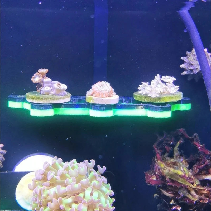 SPS Coral Frag Rack Holder Coral Bracket Luminous Marine Reef Stand Fish Tank Decorations Aquarium Accessories