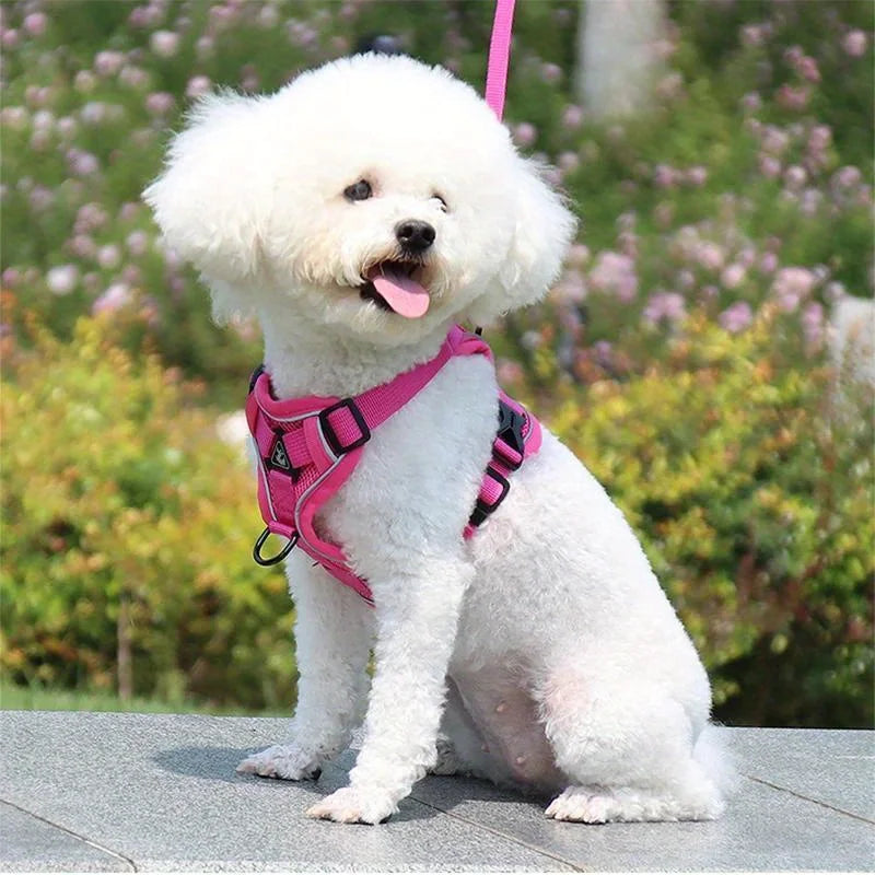 No Pull Dog Harness and Leash Set Adjustable Pet Harness Vest for Small Dogs Cats Reflective Dog Chest Strap Lead Walking