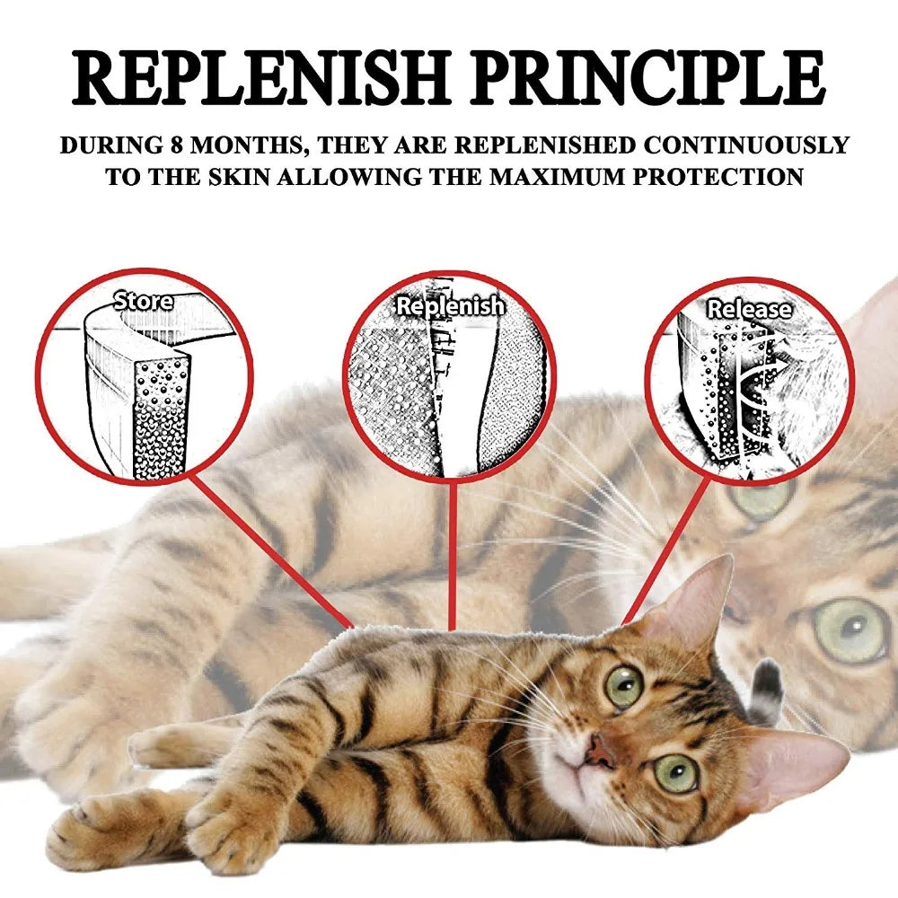 Professional 8 Month Protection Flea & Tick Collar Anti-mosquito Silicone Dog Collar Wear Resistant Universal Pet Supplies Teddy