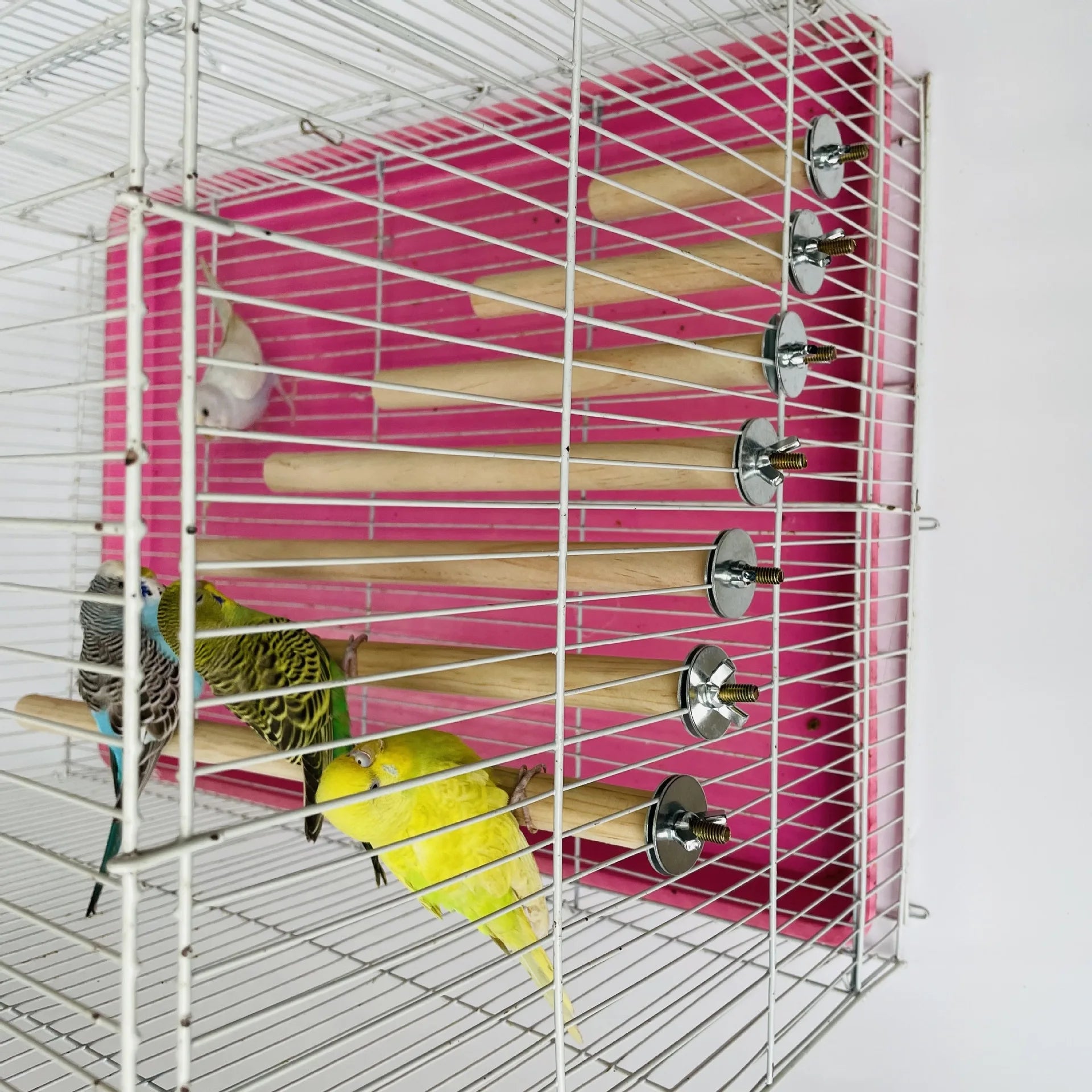 Parrot Pet Raw Standing Stick Wood Hanging Stand Rack Toy Sticksstand Parakeet Branch Perches For Bird Cage Bar Pet Supplies