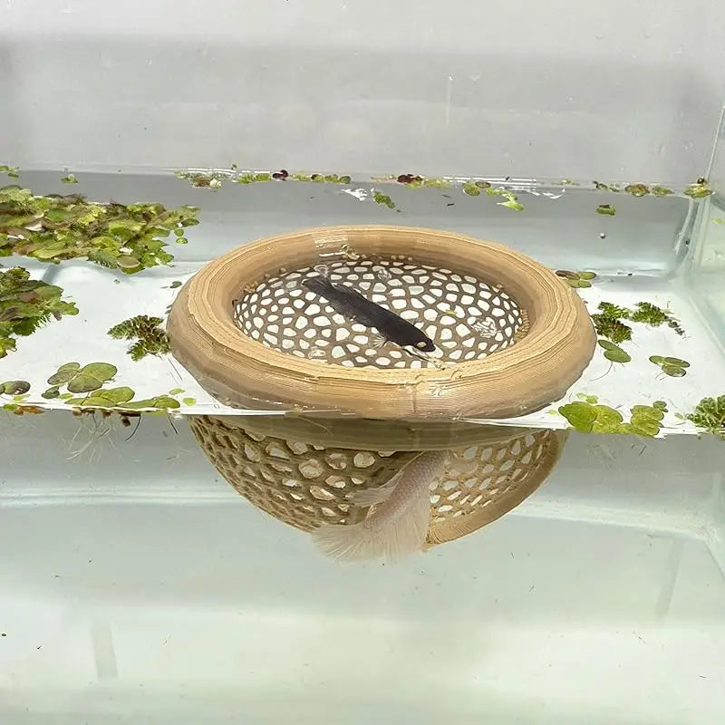 Aqaurium Floating Cave Fish Shrimp Hideout Shelter 3-in-1 Hammock Feeding Ring & Resting Spot for Betta Small Aquatic Pets