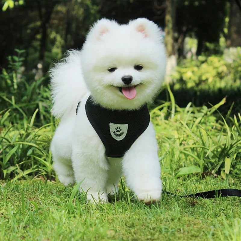 Cat Small Dog Breathable Mesh Harness And Leash Kitten Cats Harnesses Little Dog Puppy Harness For French Bulldog Chihuahua Pug