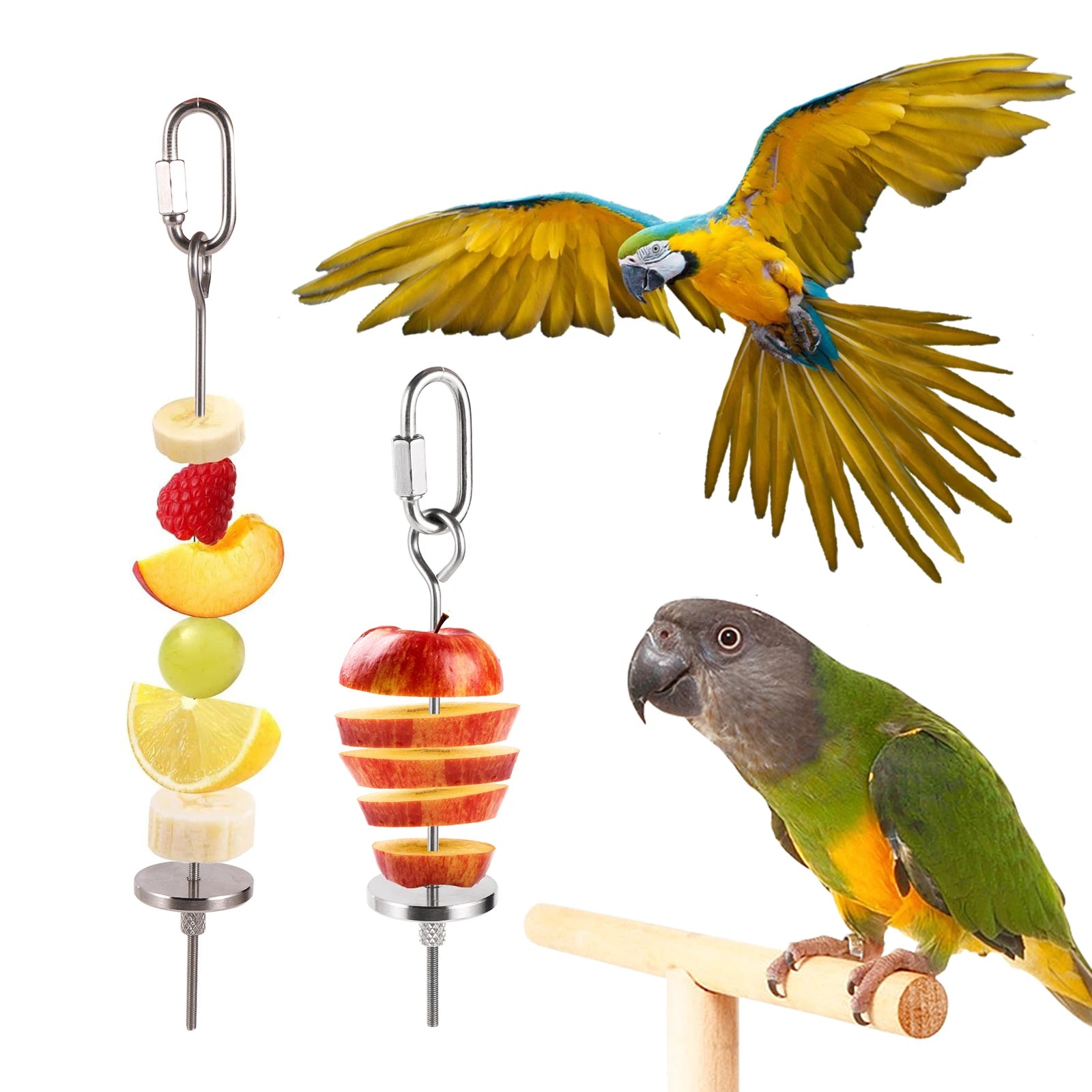1 Pc Stainless Steel Pet Parrot Bird Food Rack Bird Cage Fruit Fork Fruit Fruit Fork Hook Meat Vegetable Skewer Bird Supplies