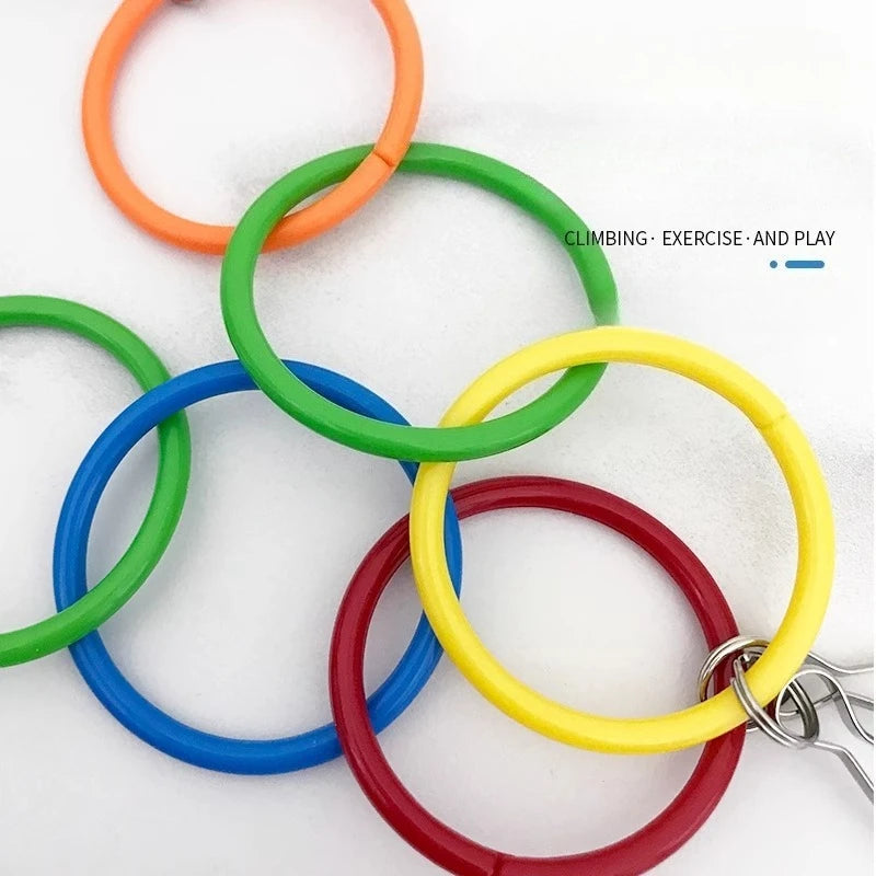 Bird plastic ring chain ring Play colorful round hook swing climbing cage toy with bell decorated parrot toy