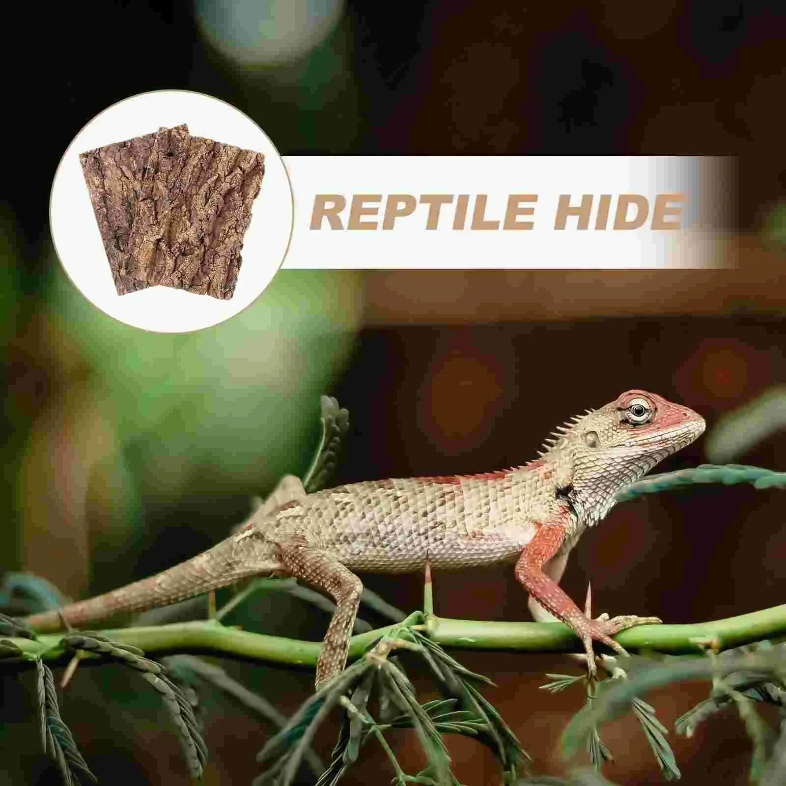 Reptile Breeding Bark Backdrop Natural Cork Bark Flat Terrarium Background Landscape Decoration Lizard Kennel Supplie Accessory