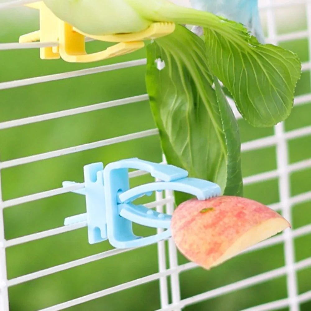 Cute Small Pet Bird Food Holder Parrot Fruits Vegetables Clip Cuttlefish Bone Feeder Device Clamp Bird Cage Accessories