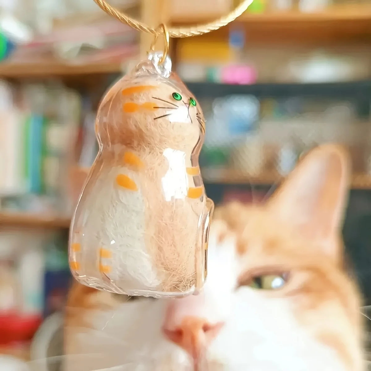 1/3pcs Transparent Cat Memorial Capsules Pet Hair Keepsake Box with Hanging Loop for Cat Lovers Gift Pendant Keychain Pet Access