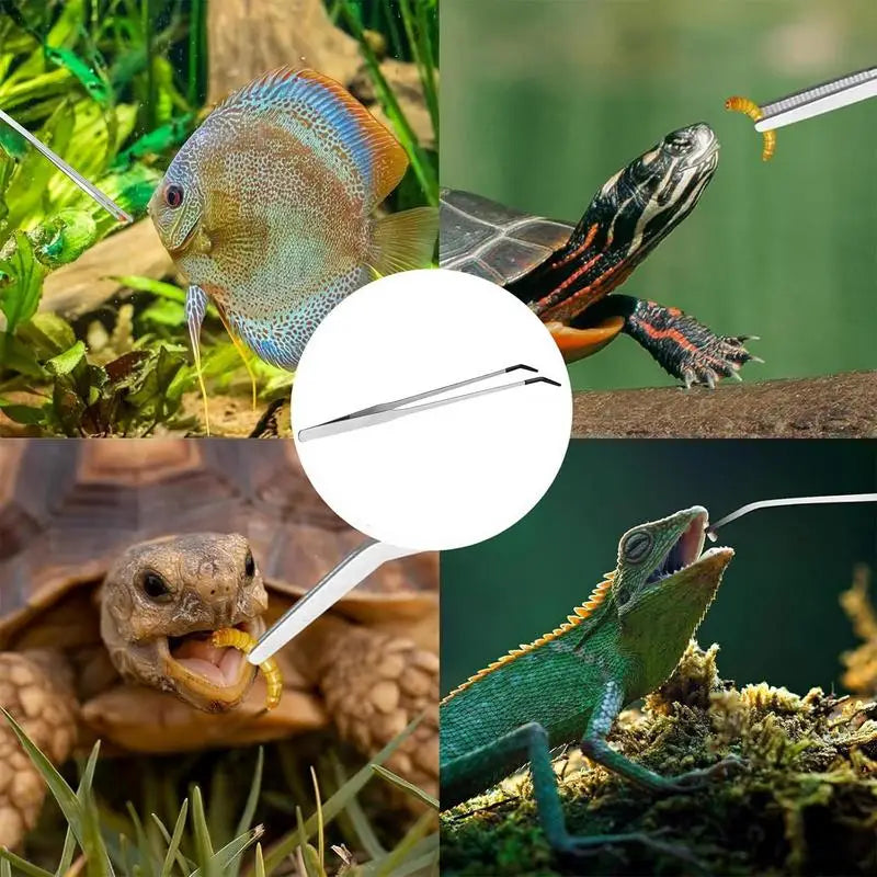 Rubber Tip Reptile Feeding Tongs Rubber Tip Terrarium Feeder Tool For Tank 10.6 Inches Stainless Steel Bearded Dragon Tank