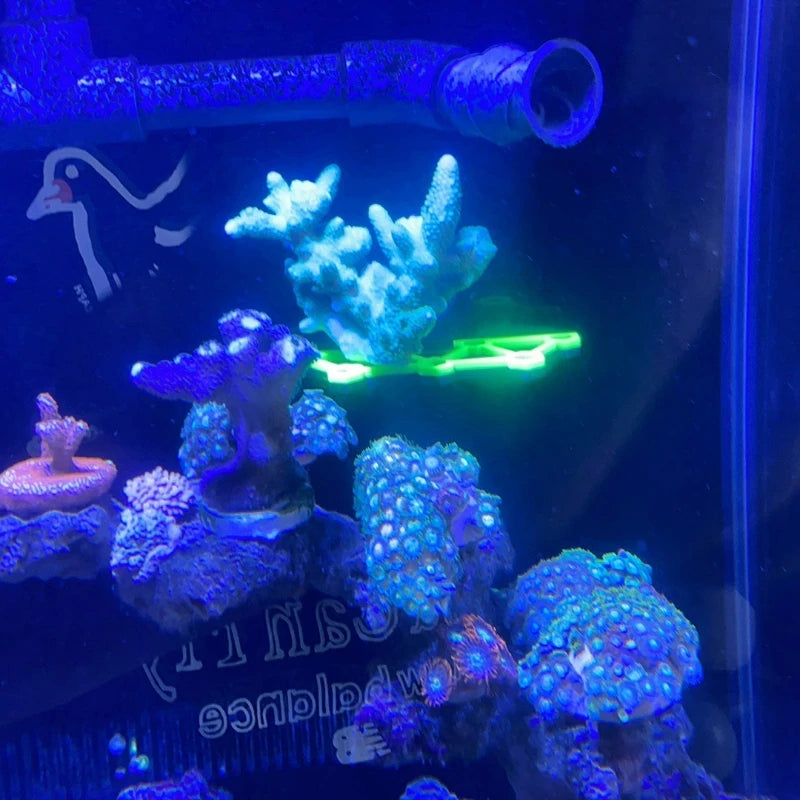 SPS Coral Frag Rack Holder Coral Bracket Luminous Marine Reef Stand Fish Tank Decorations Aquarium Accessories