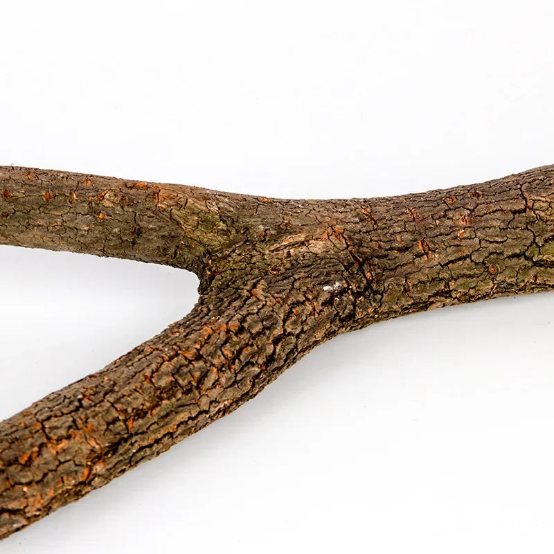 Natural Wood Pet Parrot Raw Wood Fork Tree Branch Stand Rack Squirrel Bird Hamster Branch Perches Chew Bite Toys Stick