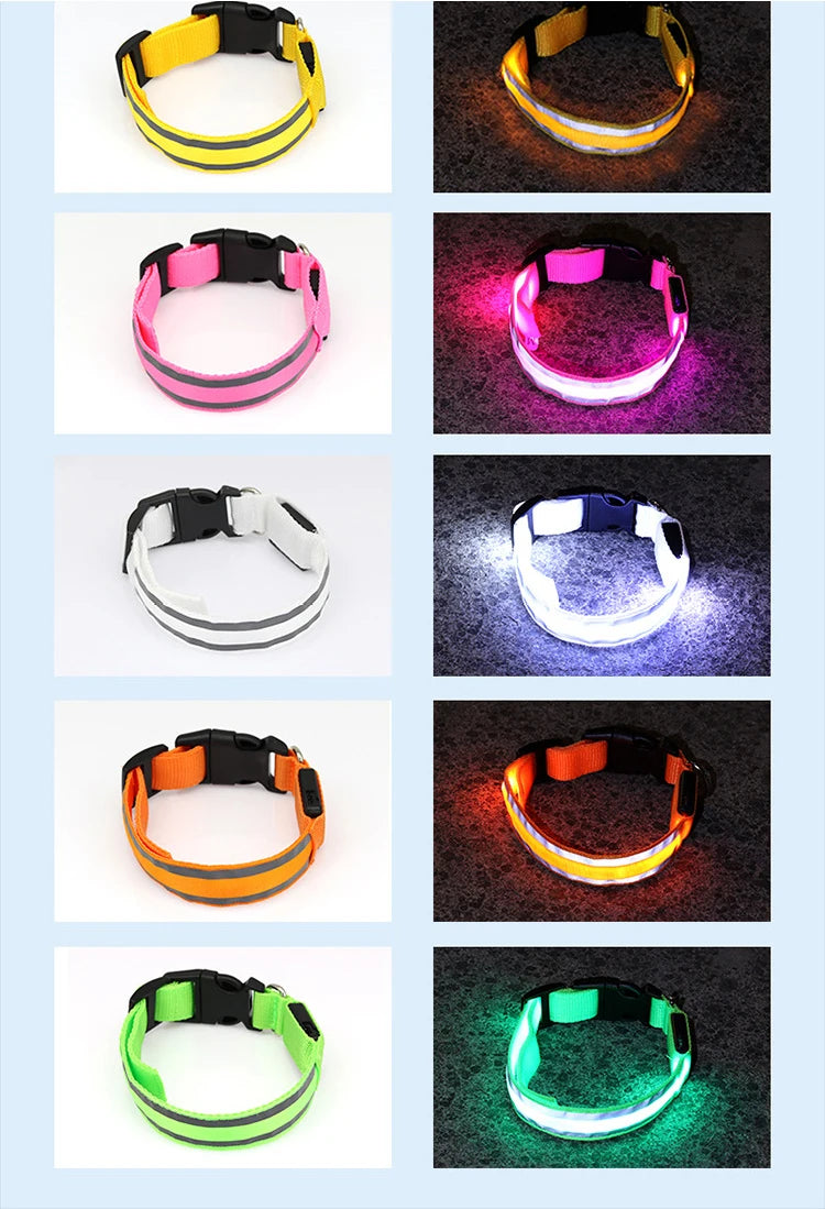 Reflective Dog Collar Luminous Night Safety Usb Rechargeable LED Dog Collar Light For Small Dogs Cat Pet Collar Para Perro XS-XL