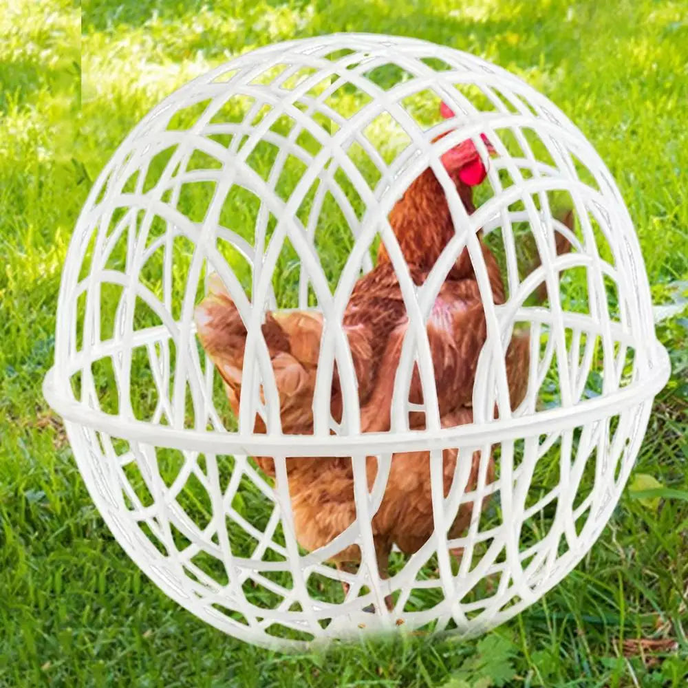 Chicken Balls Cage For Outside Spherical 3 Pieces Chicken Cage Pet Safety Cage Ball-Shaped Chicken Hamster Ball Cage Safe