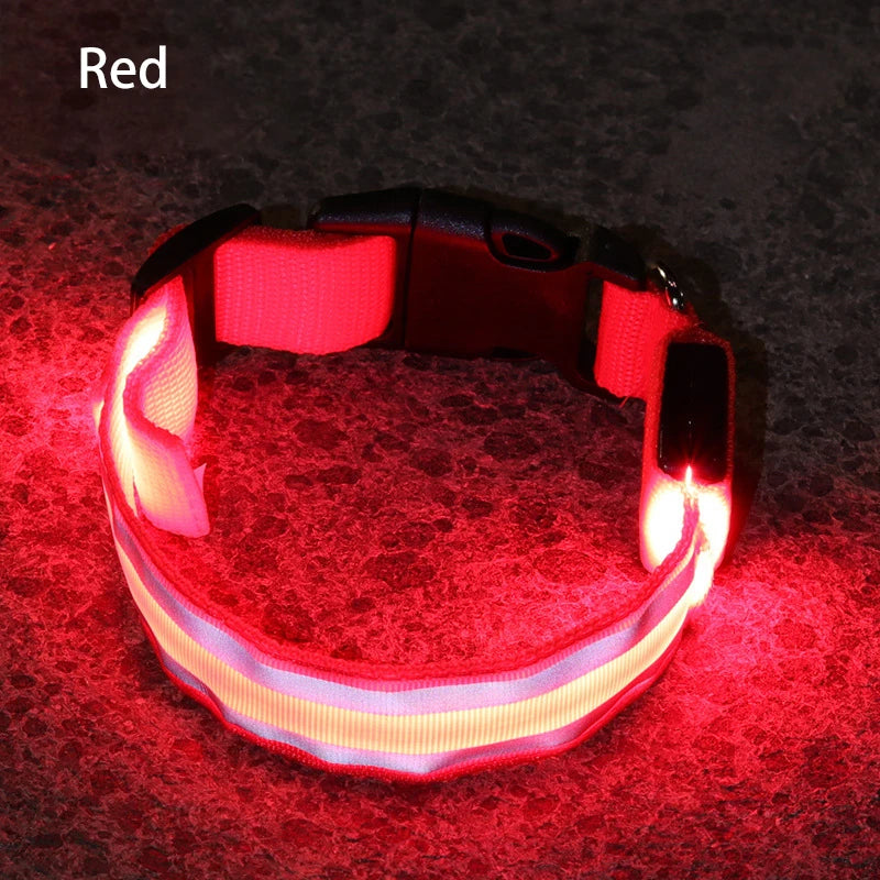 Reflective Dog Collar Luminous Night Safety Usb Rechargeable LED Dog Collar Light For Small Dogs Cat Pet Collar Para Perro XS-XL
